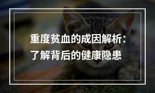 重度贫血的成因解析：了解背后的健康隐患