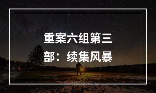 重案六组第三部：续集风暴