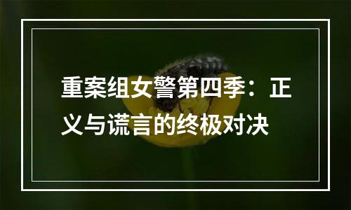 重案组女警第四季：正义与谎言的终极对决
