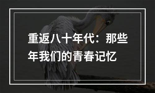 重返八十年代：那些年我们的青春记忆