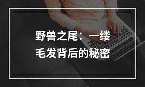 野兽之尾：一缕毛发背后的秘密
