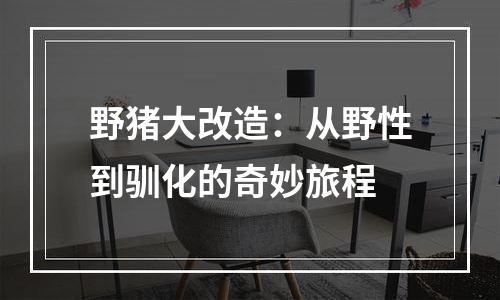野猪大改造：从野性到驯化的奇妙旅程