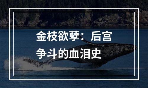 金枝欲孽：后宫争斗的血泪史