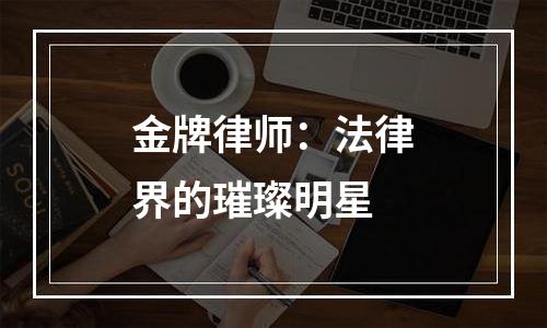 金牌律师：法律界的璀璨明星
