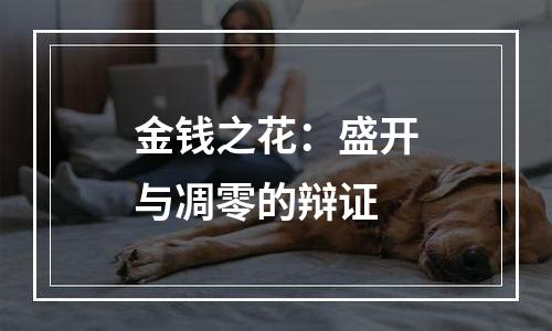 金钱之花：盛开与凋零的辩证