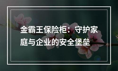 金霸王保险柜：守护家庭与企业的安全堡垒