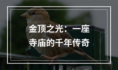 金顶之光：一座寺庙的千年传奇