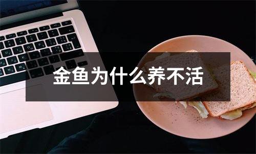金鱼为什么养不活