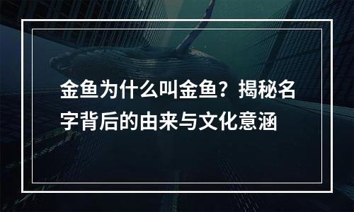 金鱼为什么叫金鱼？揭秘名字背后的由来与文化意涵