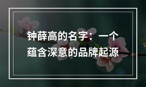 钟薛高的名字：一个蕴含深意的品牌起源