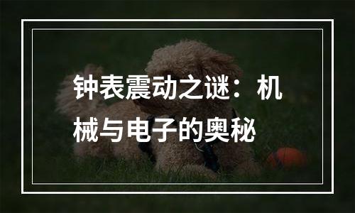 钟表震动之谜：机械与电子的奥秘