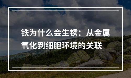 铁为什么会生锈：从金属氧化到细胞环境的关联