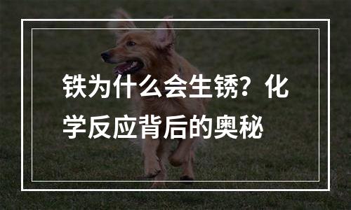 铁为什么会生锈？化学反应背后的奥秘