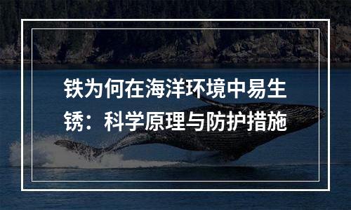 铁为何在海洋环境中易生锈：科学原理与防护措施