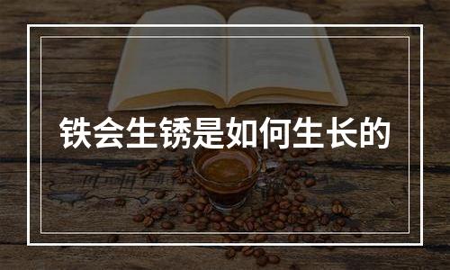 铁会生锈是如何生长的