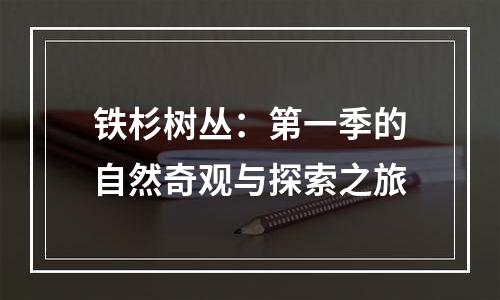 铁杉树丛：第一季的自然奇观与探索之旅