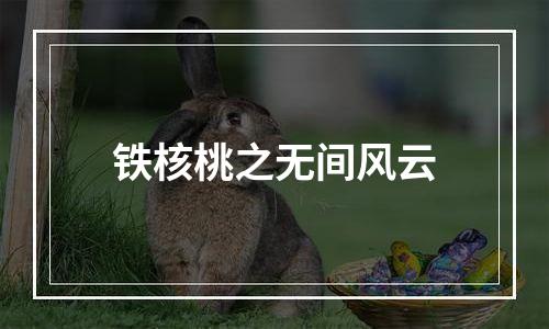 铁核桃之无间风云