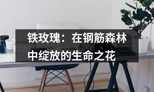 铁玫瑰：在钢筋森林中绽放的生命之花