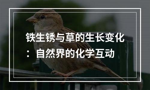 铁生锈与草的生长变化：自然界的化学互动