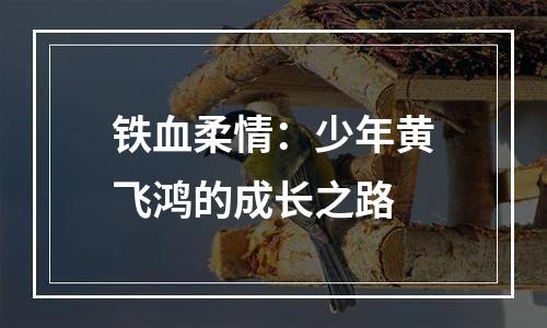 铁血柔情：少年黄飞鸿的成长之路