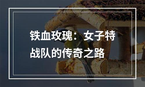 铁血玫瑰：女子特战队的传奇之路
