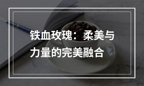 铁血玫瑰：柔美与力量的完美融合
