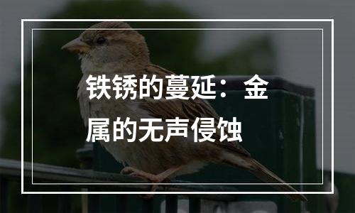 铁锈的蔓延：金属的无声侵蚀