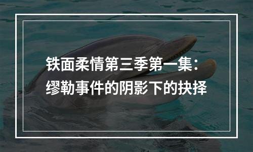 铁面柔情第三季第一集：缪勒事件的阴影下的抉择