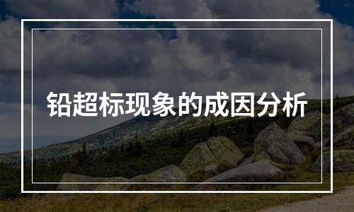 铅超标现象的成因分析