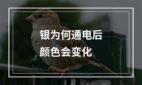 银为何通电后颜色会变化