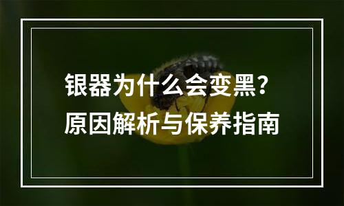银器为什么会变黑？原因解析与保养指南