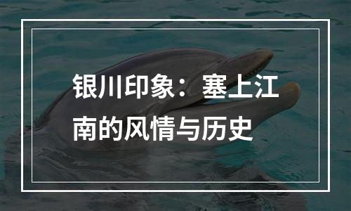 银川印象：塞上江南的风情与历史
