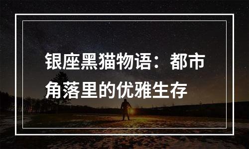 银座黑猫物语：都市角落里的优雅生存