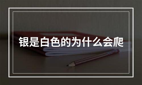 银是白色的为什么会爬