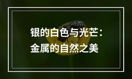 银的白色与光芒：金属的自然之美