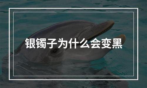 银镯子为什么会变黑