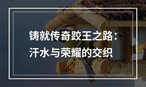 铸就传奇跤王之路：汗水与荣耀的交织