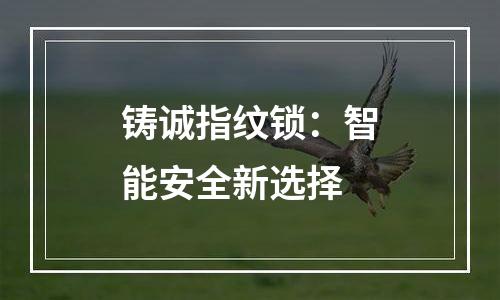 铸诚指纹锁：智能安全新选择