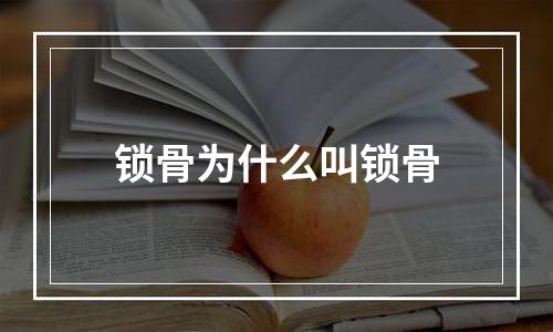 锁骨为什么叫锁骨