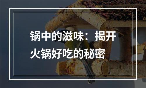 锅中的滋味：揭开火锅好吃的秘密