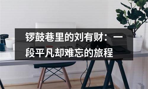 锣鼓巷里的刘有财：一段平凡却难忘的旅程