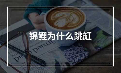 锦鲤为什么跳缸