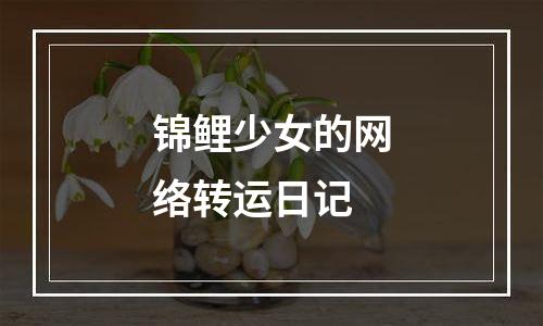 锦鲤少女的网络转运日记