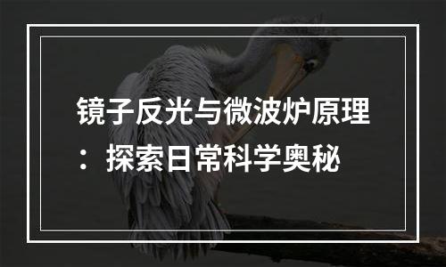 镜子反光与微波炉原理：探索日常科学奥秘