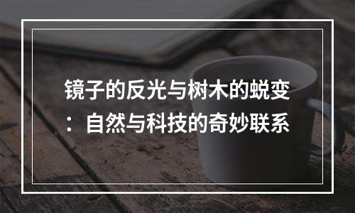 镜子的反光与树木的蜕变：自然与科技的奇妙联系