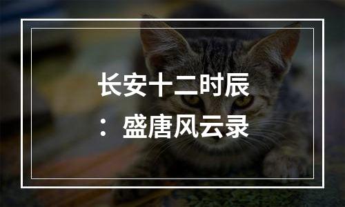 长安十二时辰：盛唐风云录