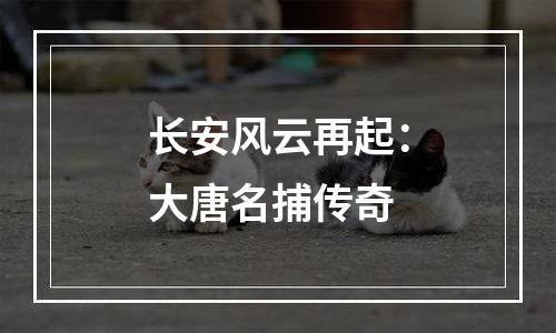 长安风云再起：大唐名捕传奇