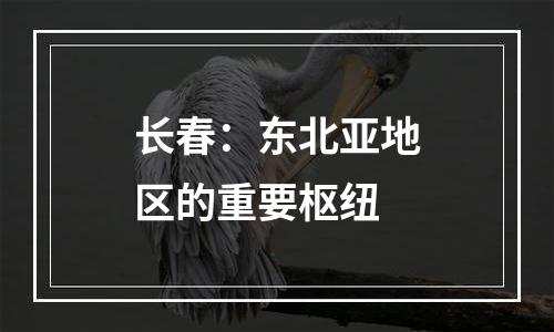 长春：东北亚地区的重要枢纽