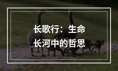 长歌行：生命长河中的哲思