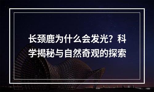 长颈鹿为什么会发光？科学揭秘与自然奇观的探索